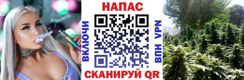 Каннабис SATIVA & INDICA  сколько стоит  Комсомольск-на-Амуре 